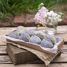 《漫漫长夜》首款资料片“遥远的领土”预告片欣赏